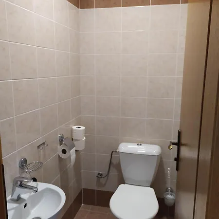 Druzba Bojnice