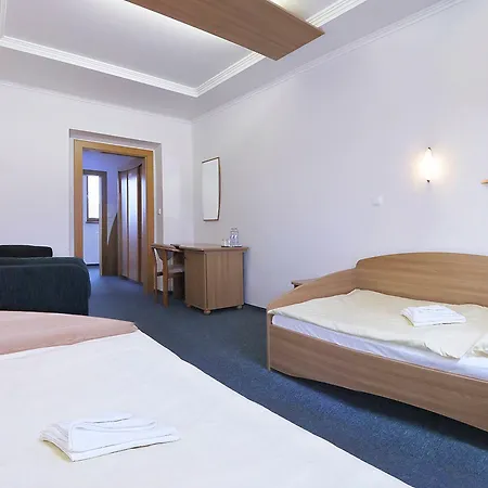 بيت ضيافة Druzba بايموتْسْ